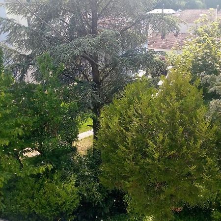 Contrexéville Villa Arc En Ciel Et Cle Des Champs מראה חיצוני תמונה