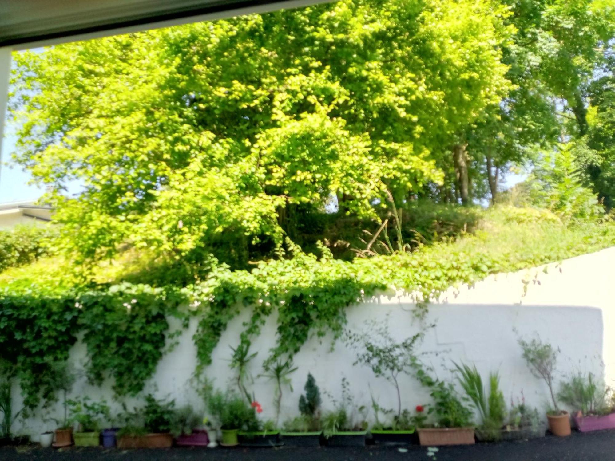 Contrexéville Villa Arc En Ciel Et Cle Des Champs מראה חיצוני תמונה